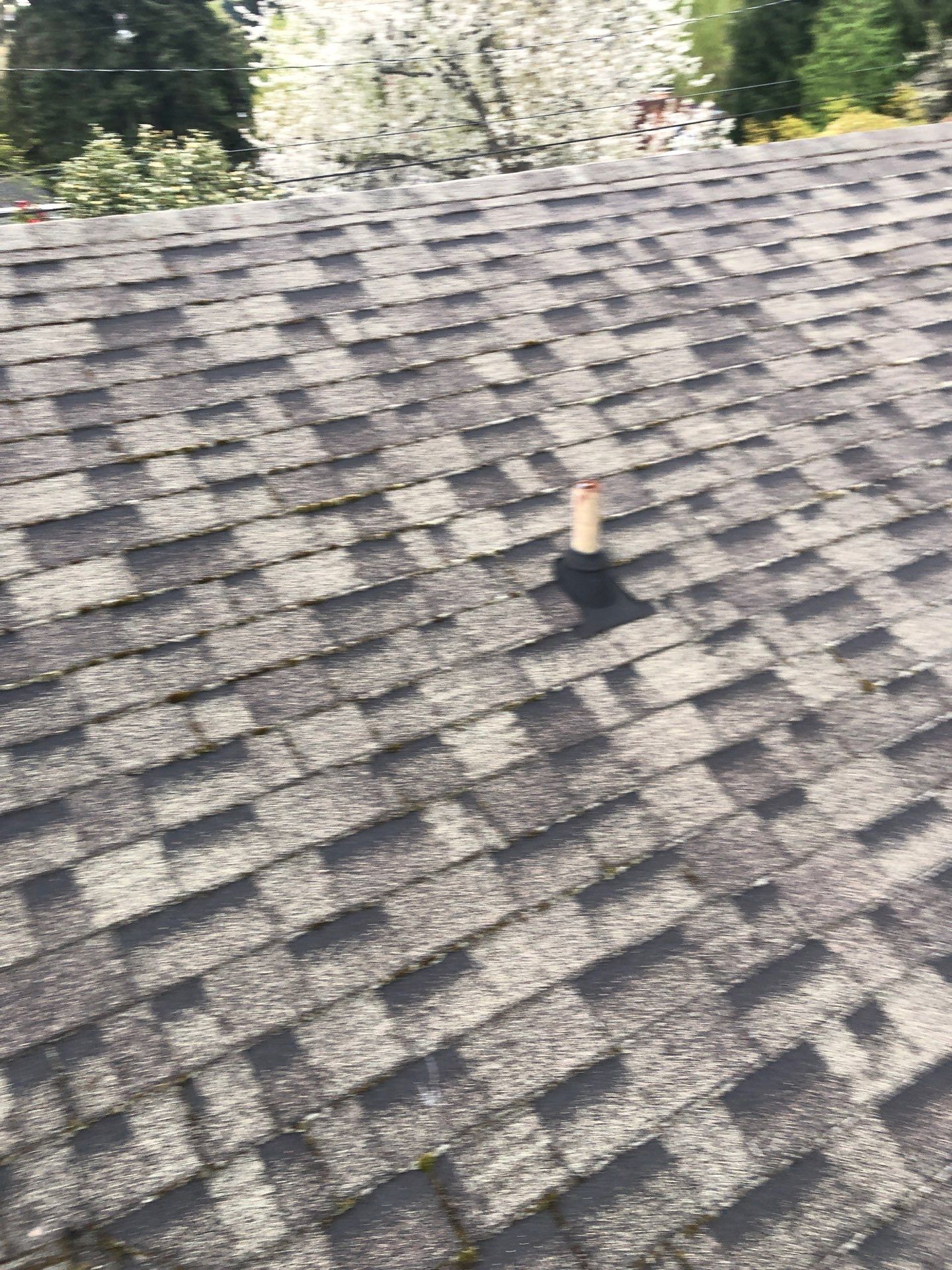 Project in Seattle by Connolly Construction Company