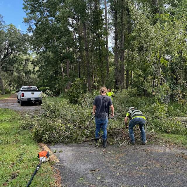 Deerwood Community | Contract Tree Work by ProGreen Services