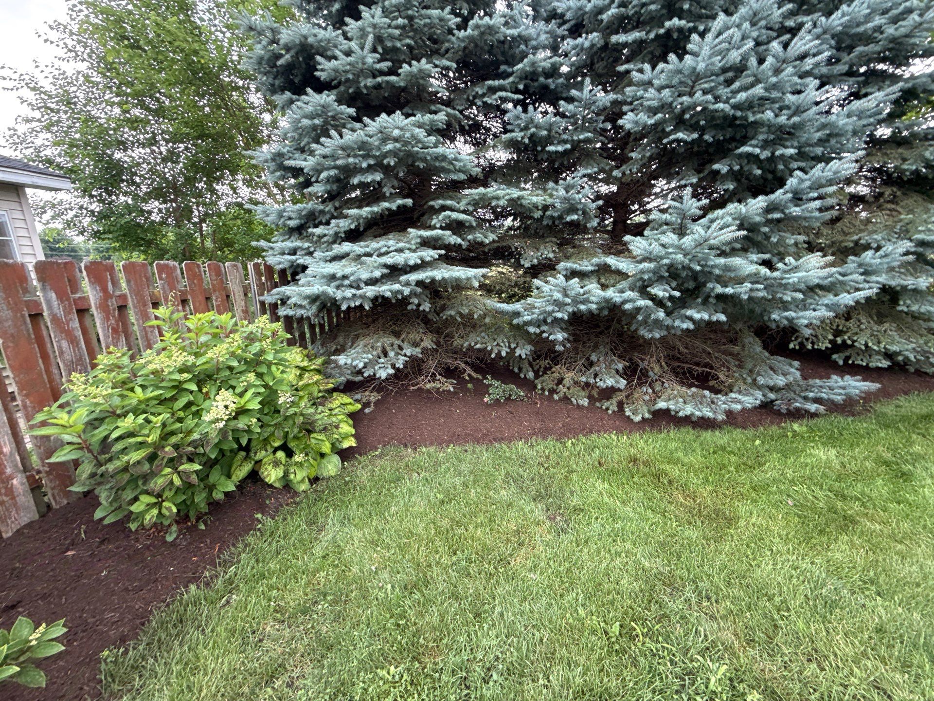 Rob M. - Arlington Heights, IL by A&N 
