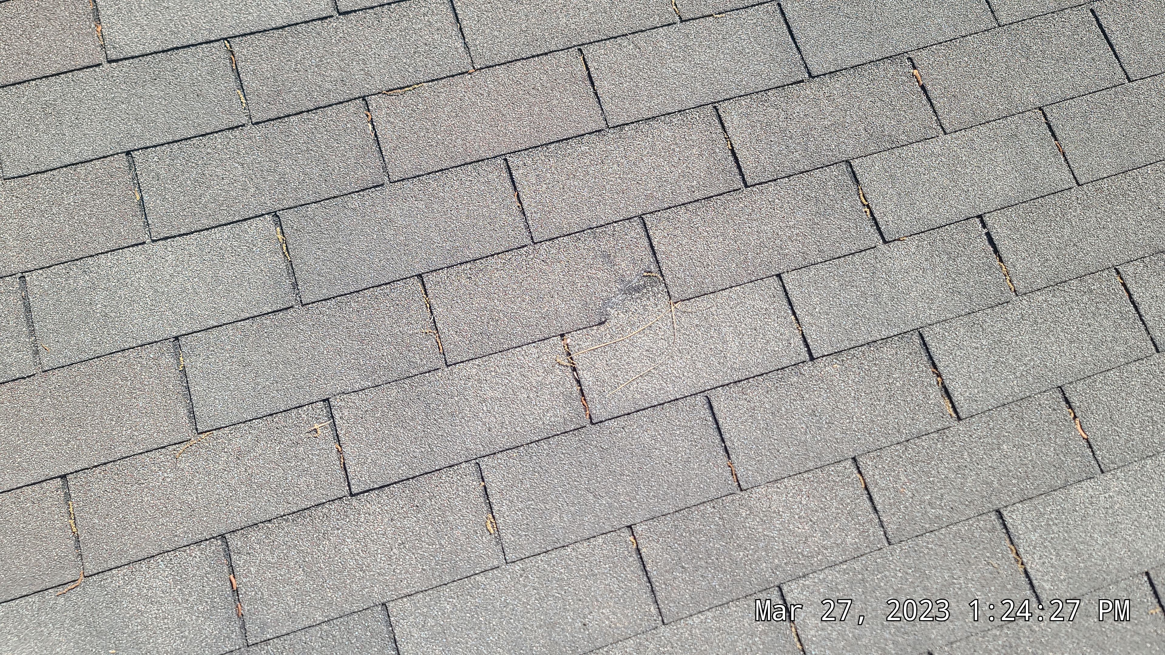 Residential Shingle Reroof using Malarkey Vista by Hostetler Roofing