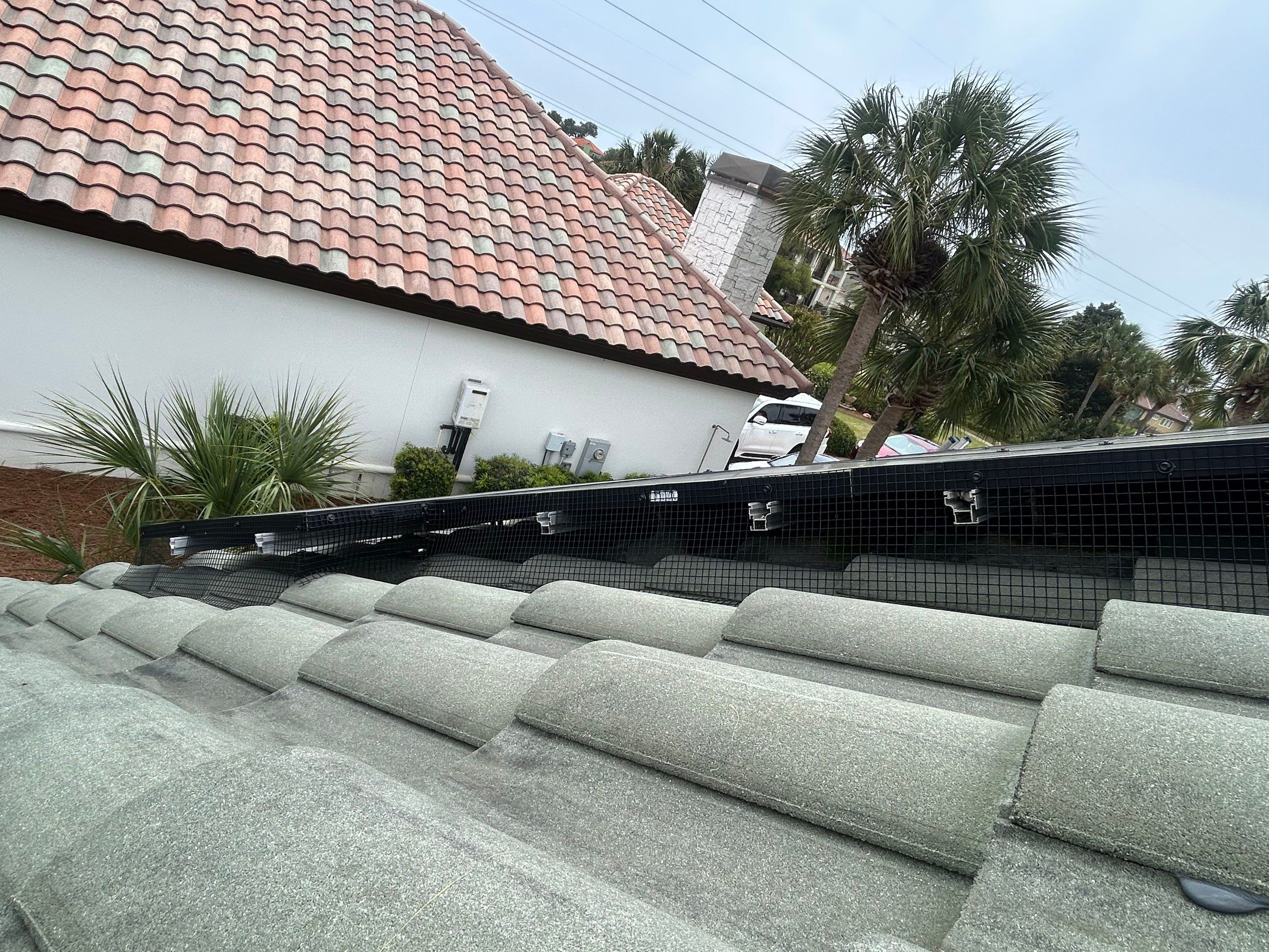 Solar Squirrel Defense System Installation by Gulf Solar Services