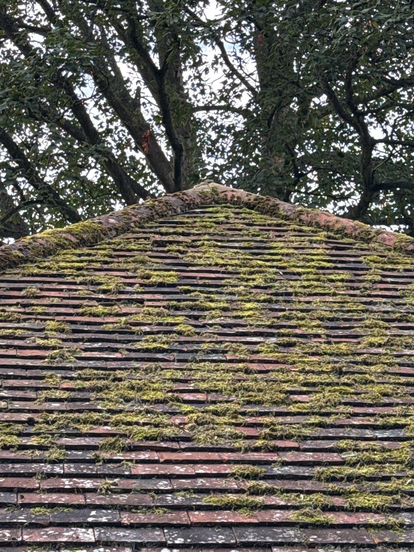 Roof - Driveway Clean -Patio Clean by Ges Exterior Cleaning ltd