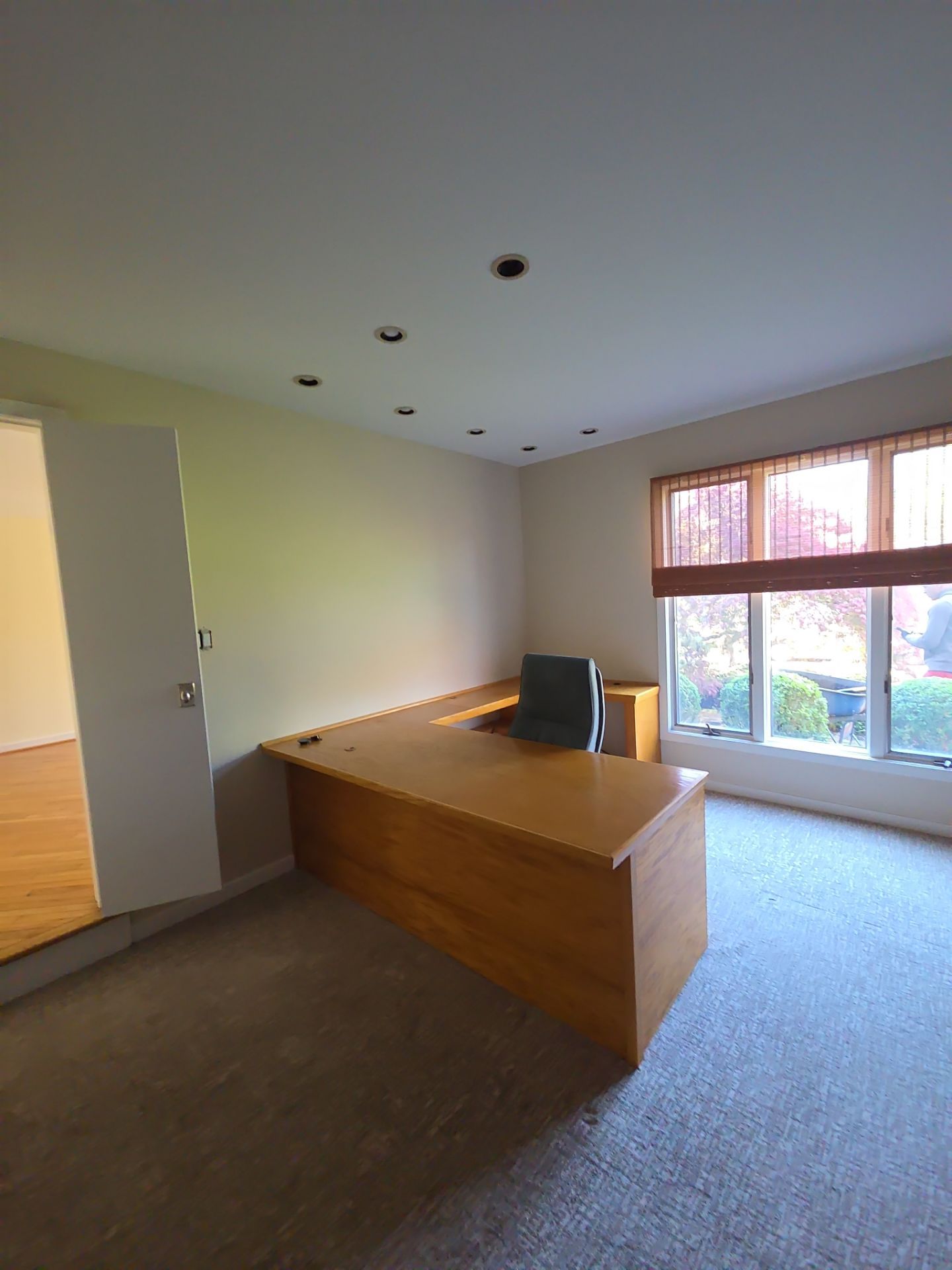 Bright, Colorful, and Completely Reimagined in Morrisville ✨ by Groovy Hues