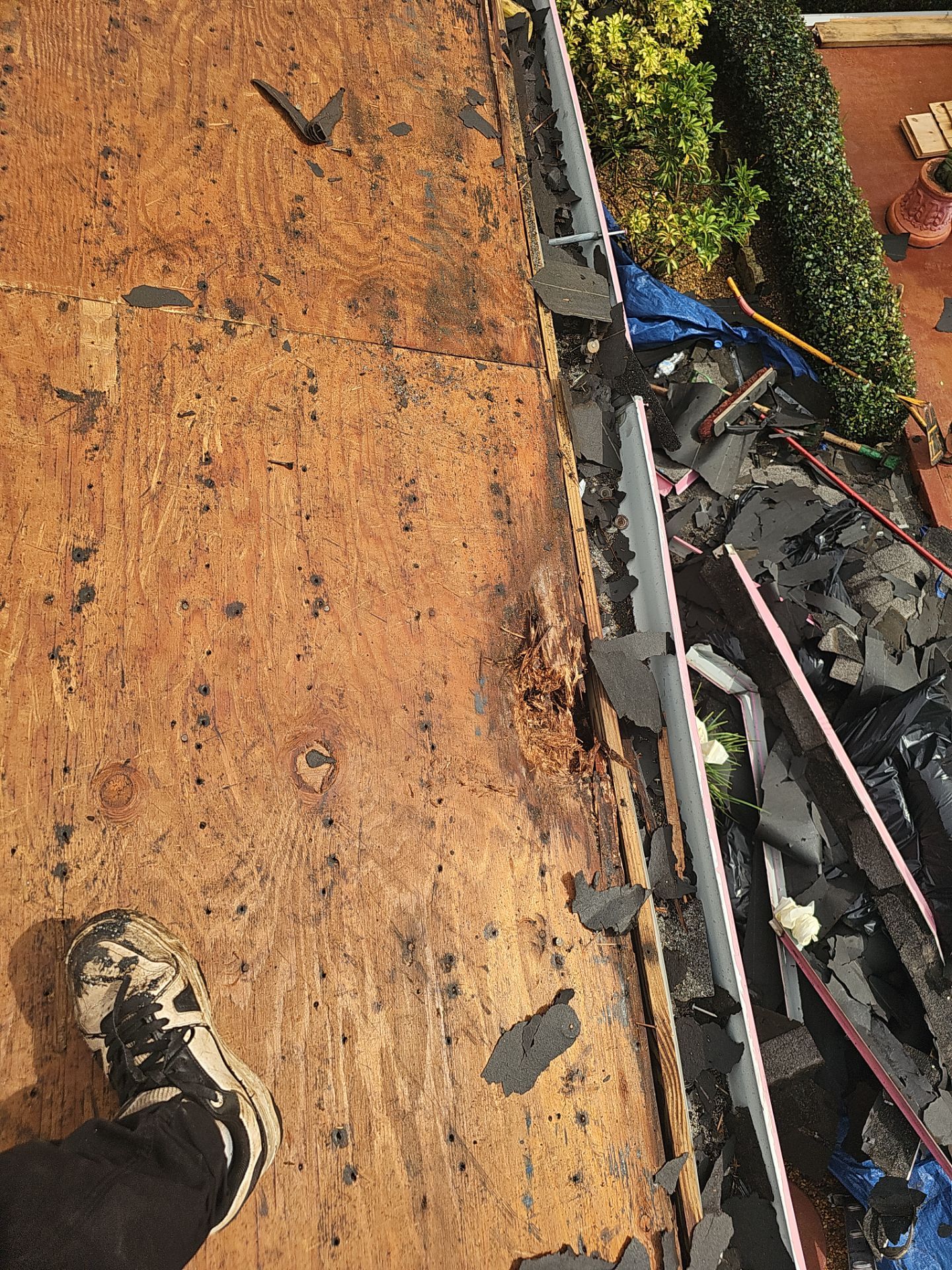 Project in St. Petersburg 33705 by Mitchell Roofing Company LLC 