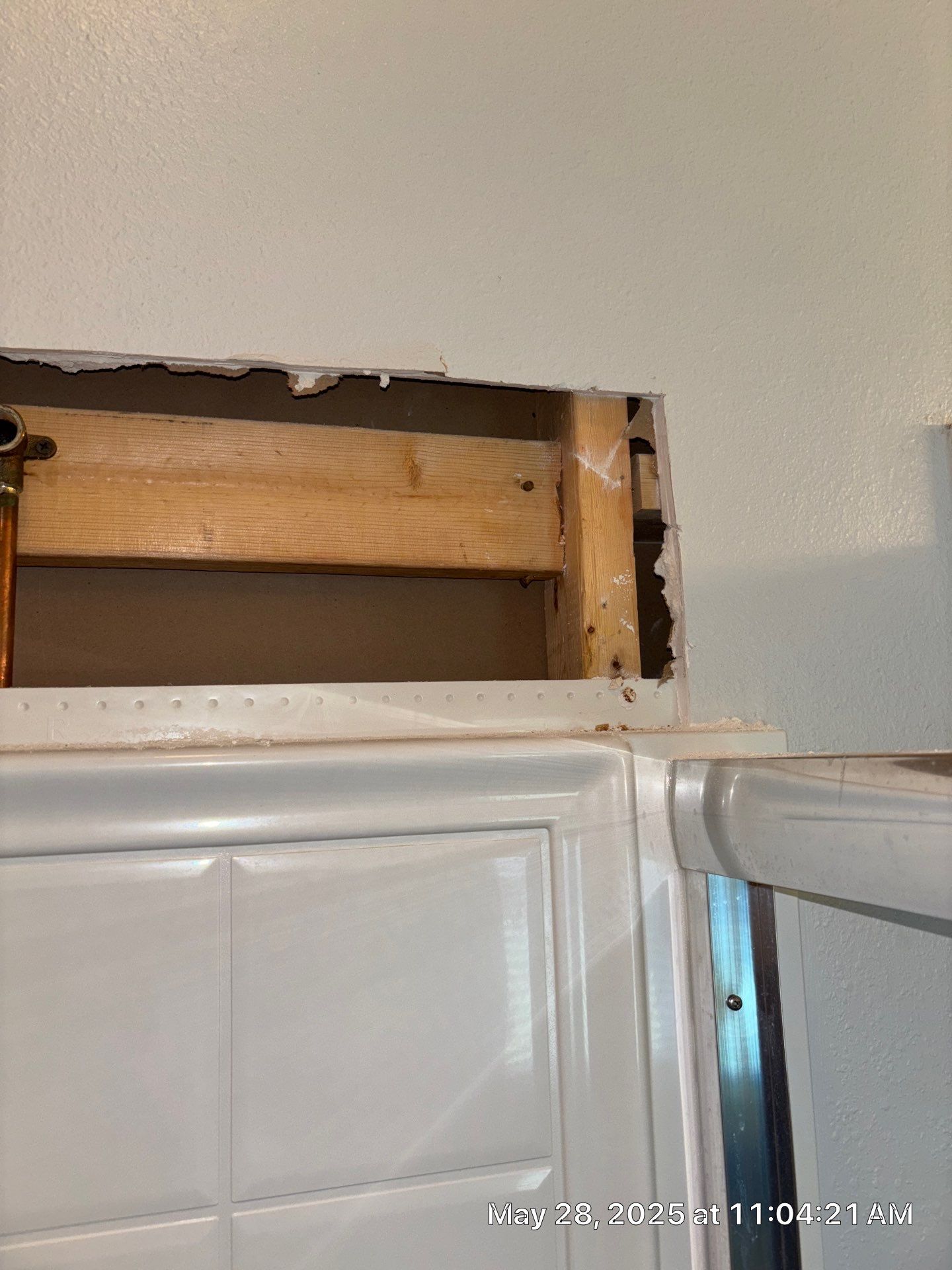 Tampa Mold Removal by Ampm Restoration Services