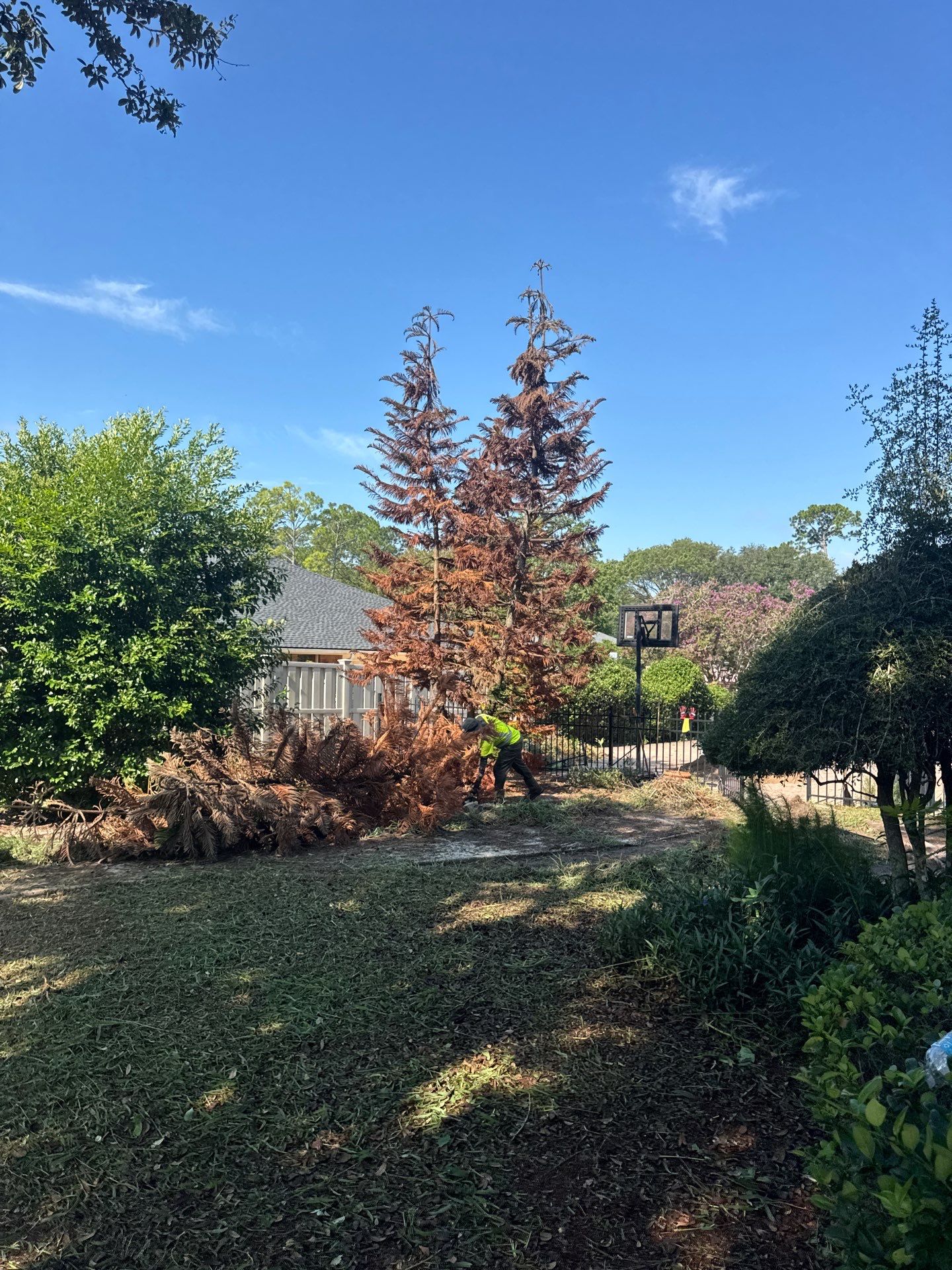 Deerwood Resident | Sod & Bed Design/Plant Installation by ProGreen Services