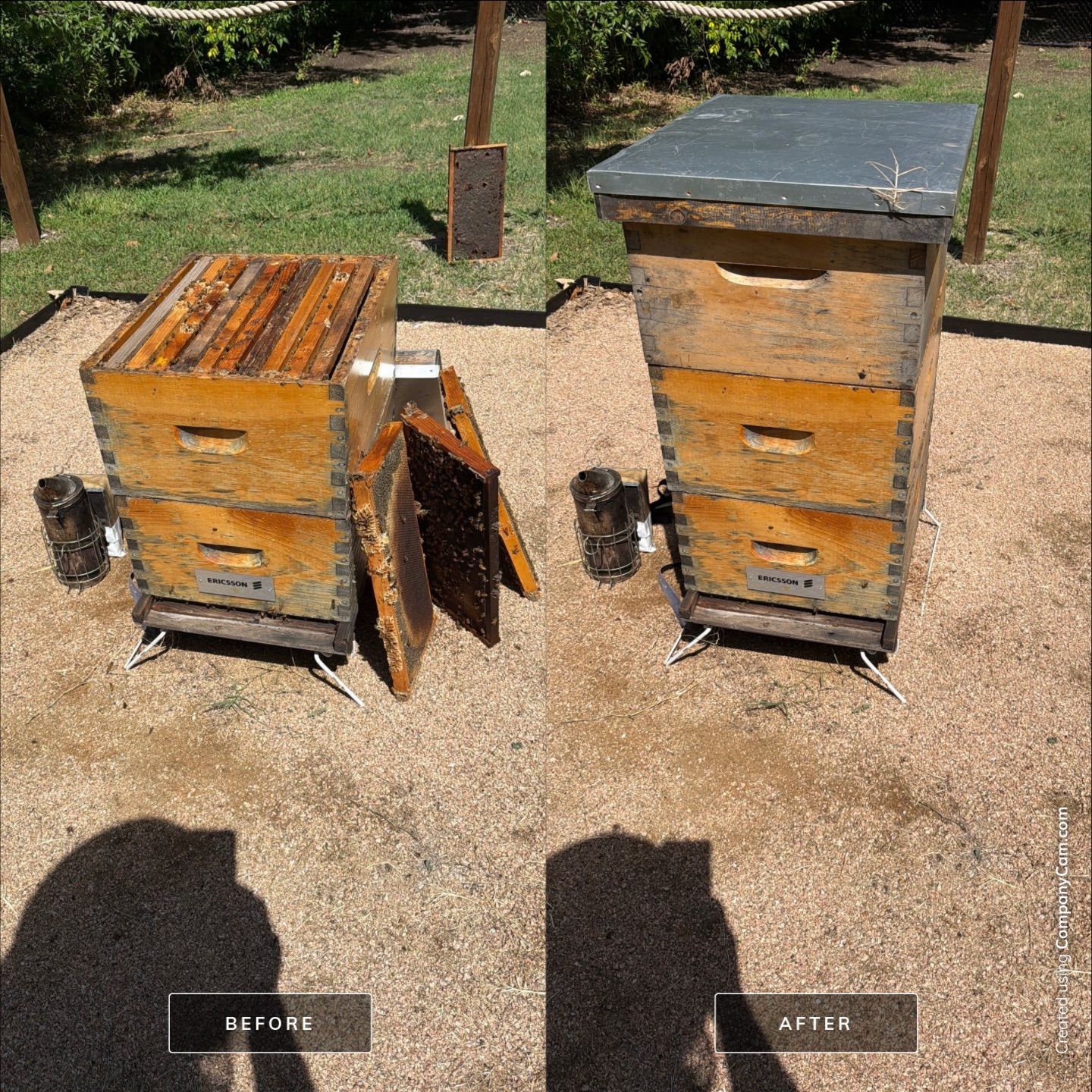 A Corp. HQ by Rockwall Honey Bee Company