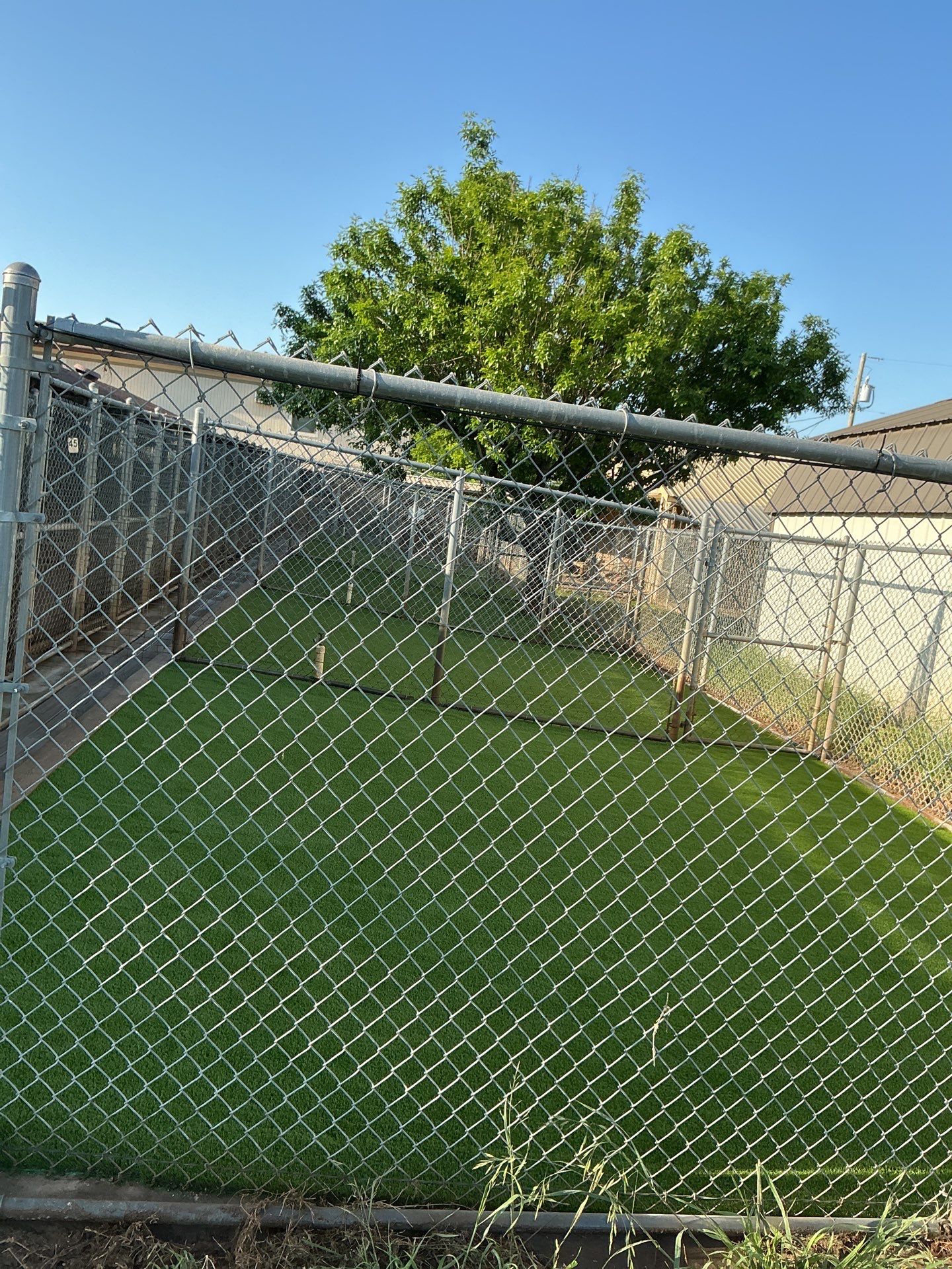 Synthetic Turf Installation using Pet Turf by Turf Concepts