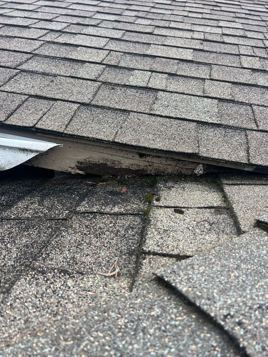 Residential Roofing Installation using IKO Dynasty (Color: Granite Black) by Orezona Building & Roofing Company, Inc.