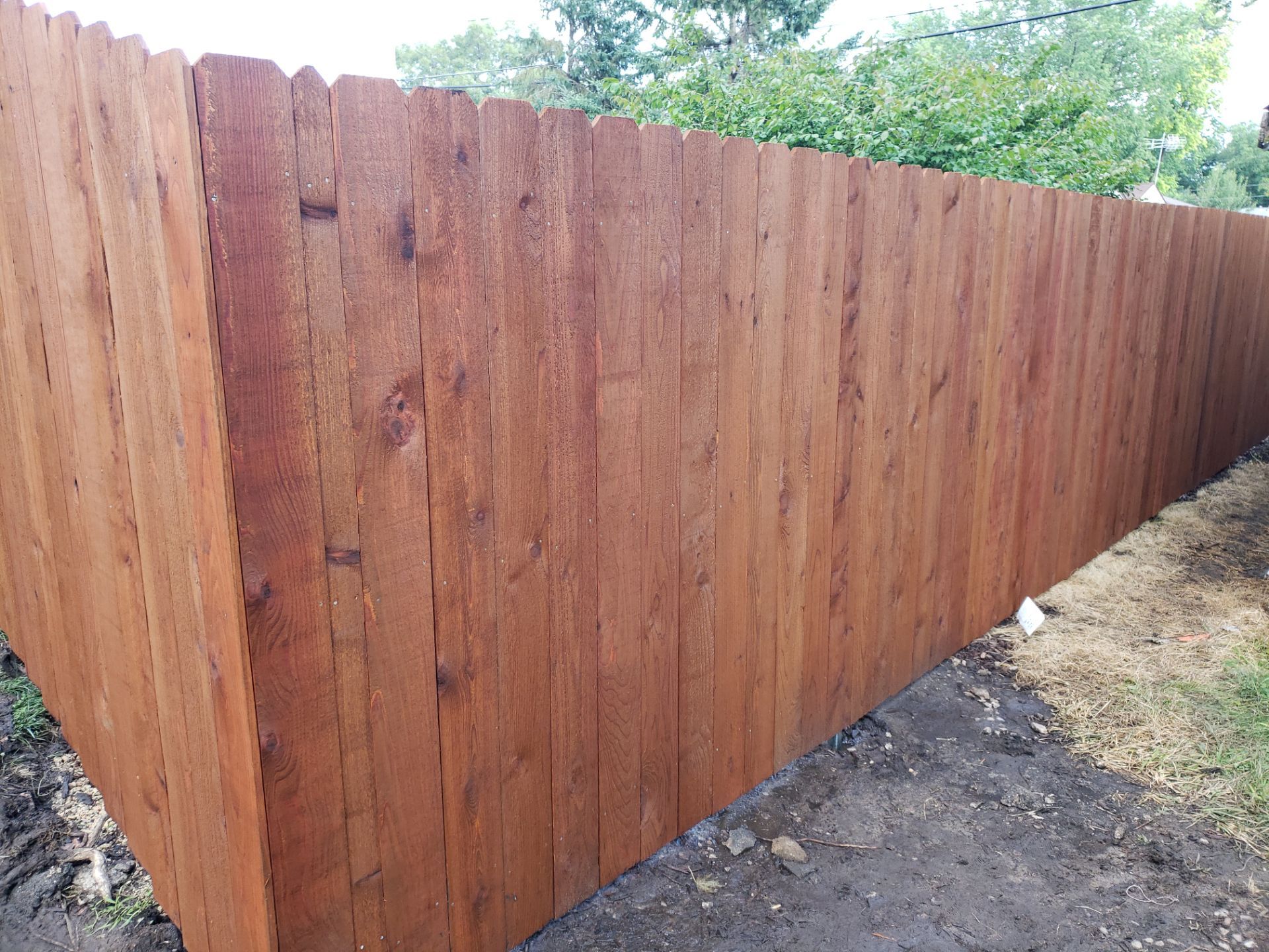 Custom Chestnut Stained Cedar Privacy Fence in Waterloo by Perfect Picket Fence and Stain