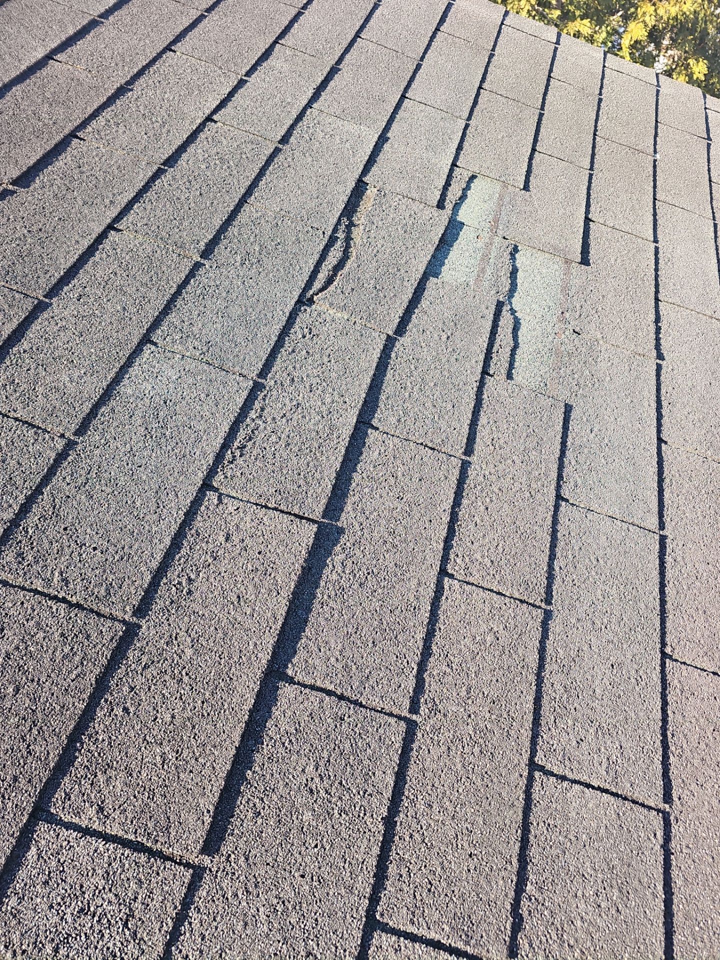 Roof Replacement - Charcoal Black by Winchester Roofing