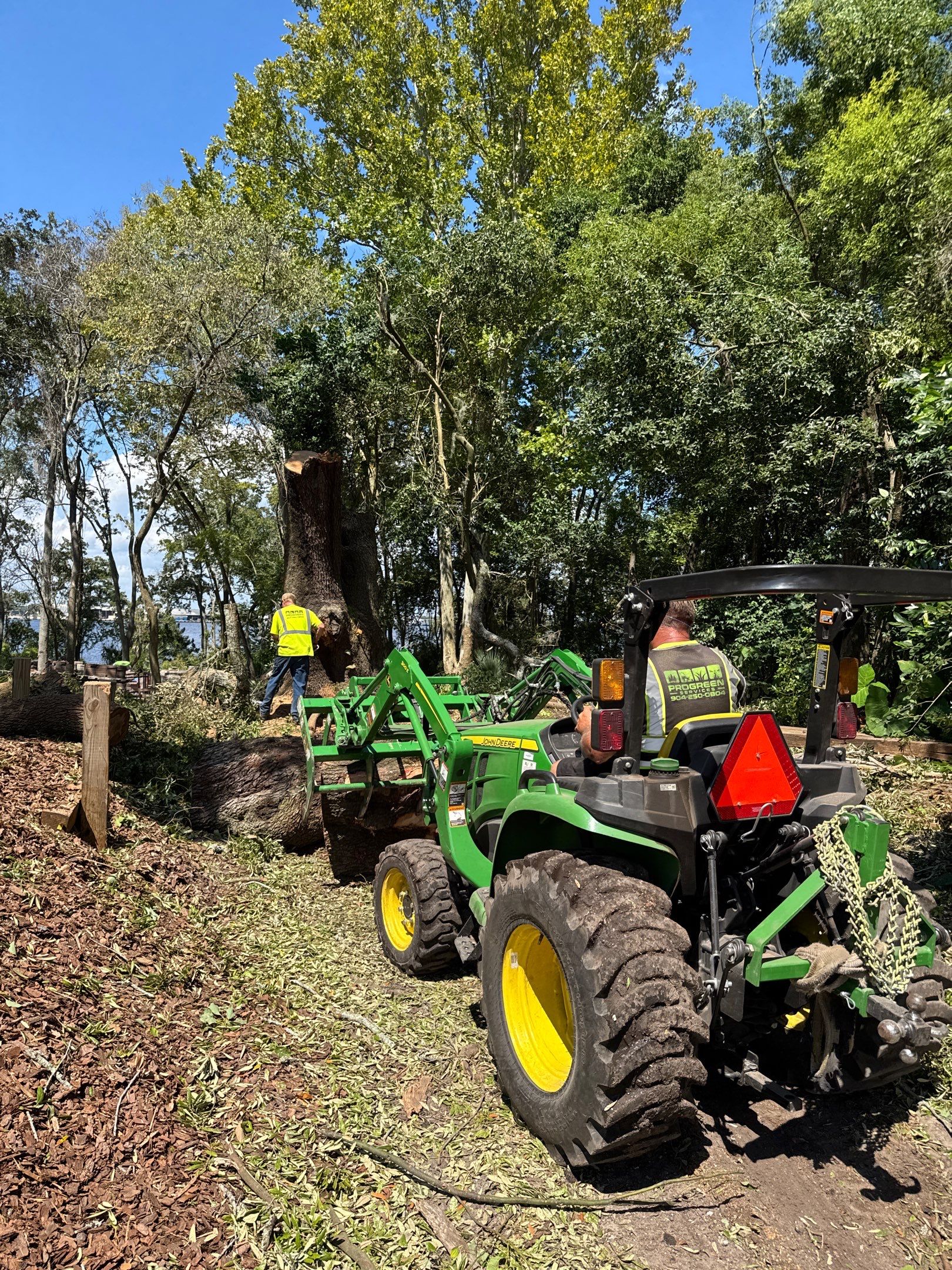Tree Removal | Episcopal Softball Field by ProGreen Services