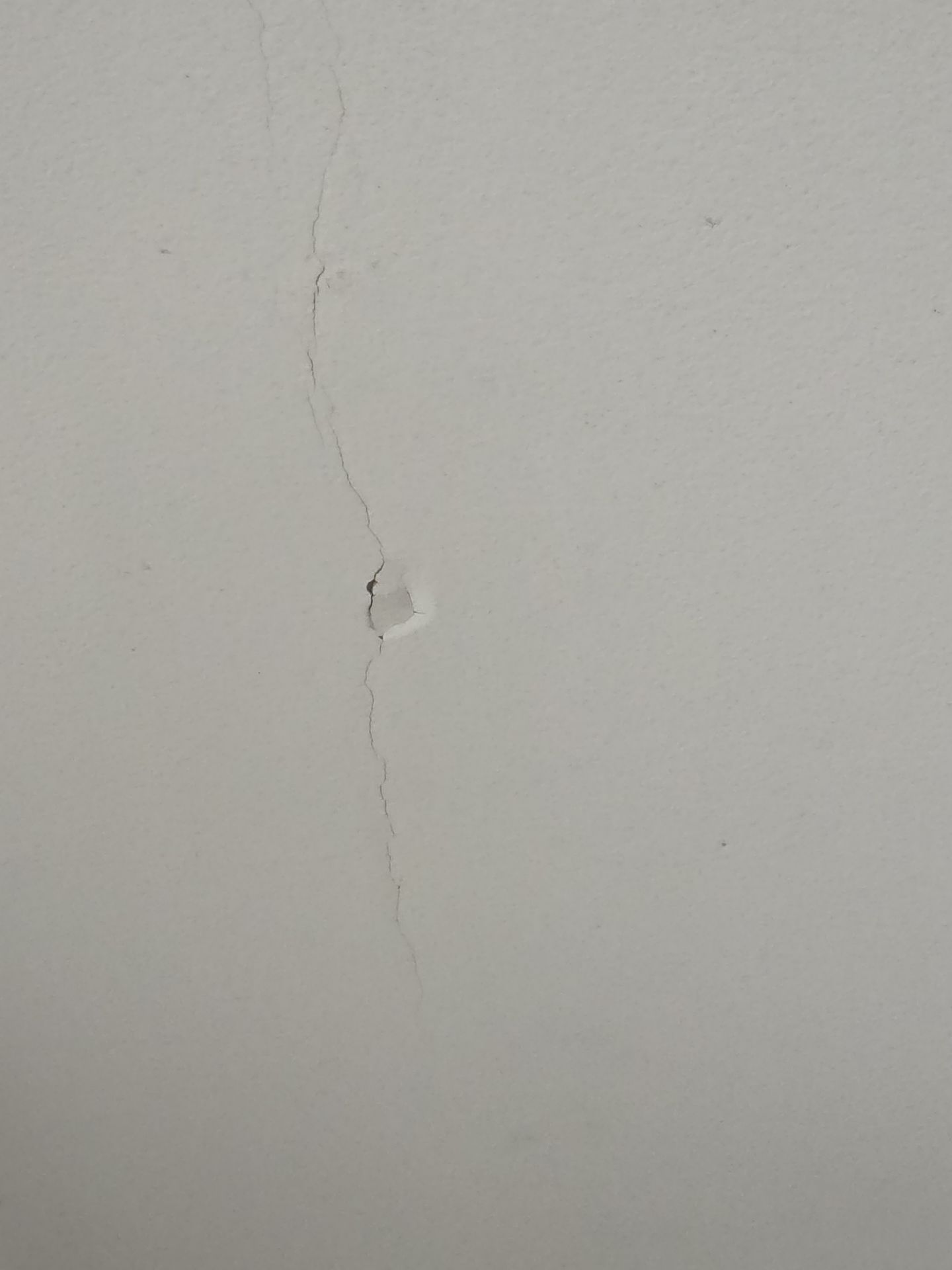 Interior Ceiling Repainting in Fremont Michigan by Gordon Painting