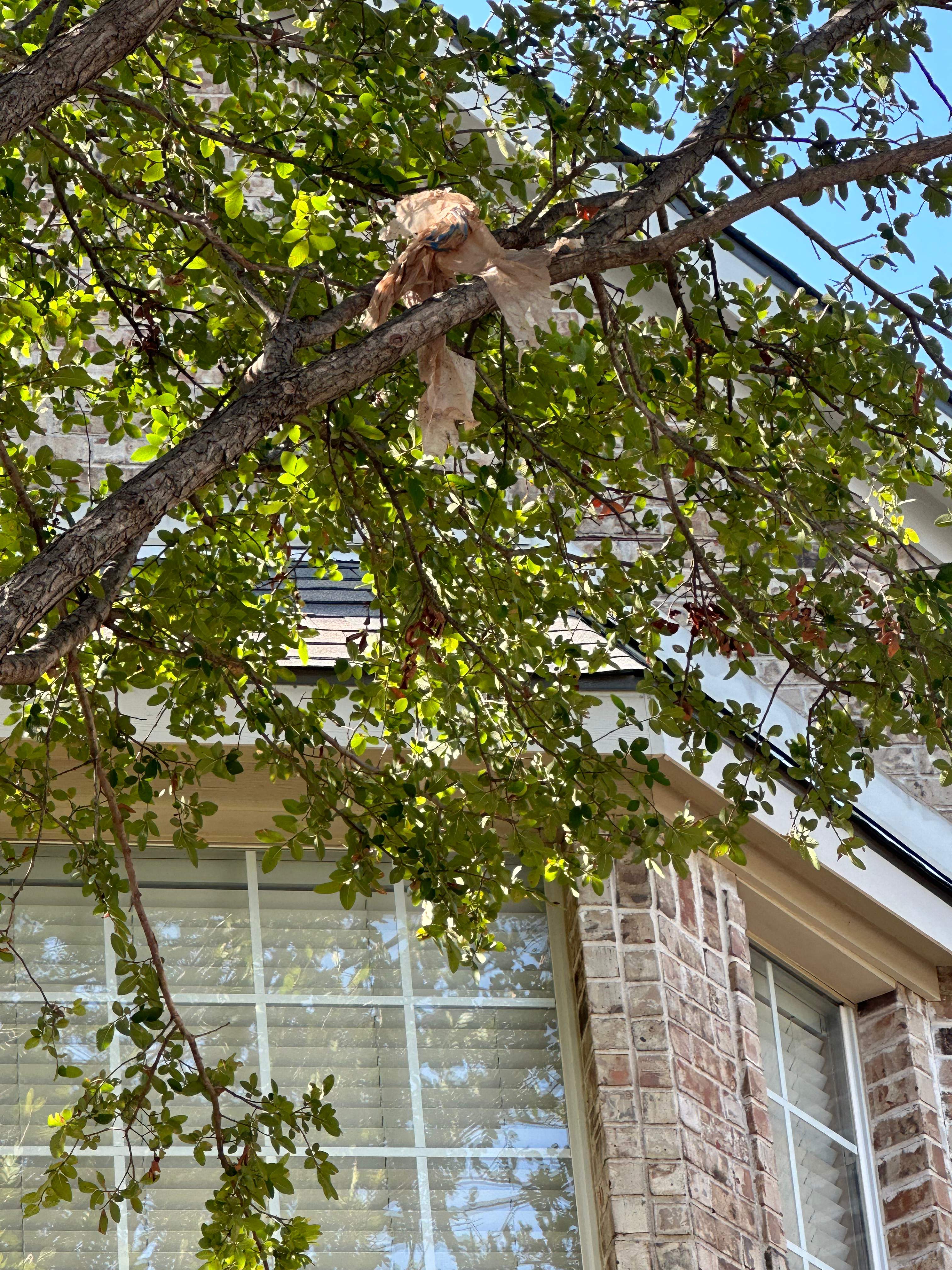 Property Repairs After Hail Storm Plano Texas by Eminent Roofing & Auto Hail Repair
