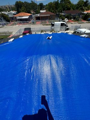 Project in Miami