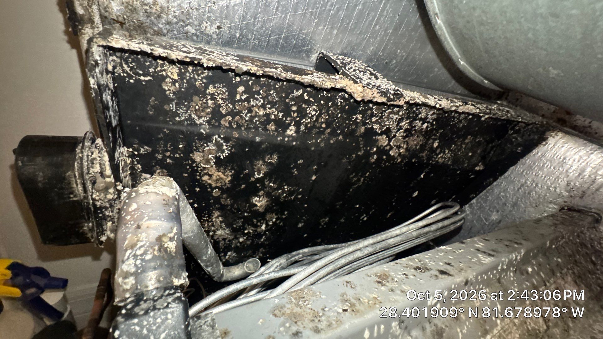 Air Duct, Blower & Dryer Vent Cleaning in Clermont by Hygienic Air, Inc