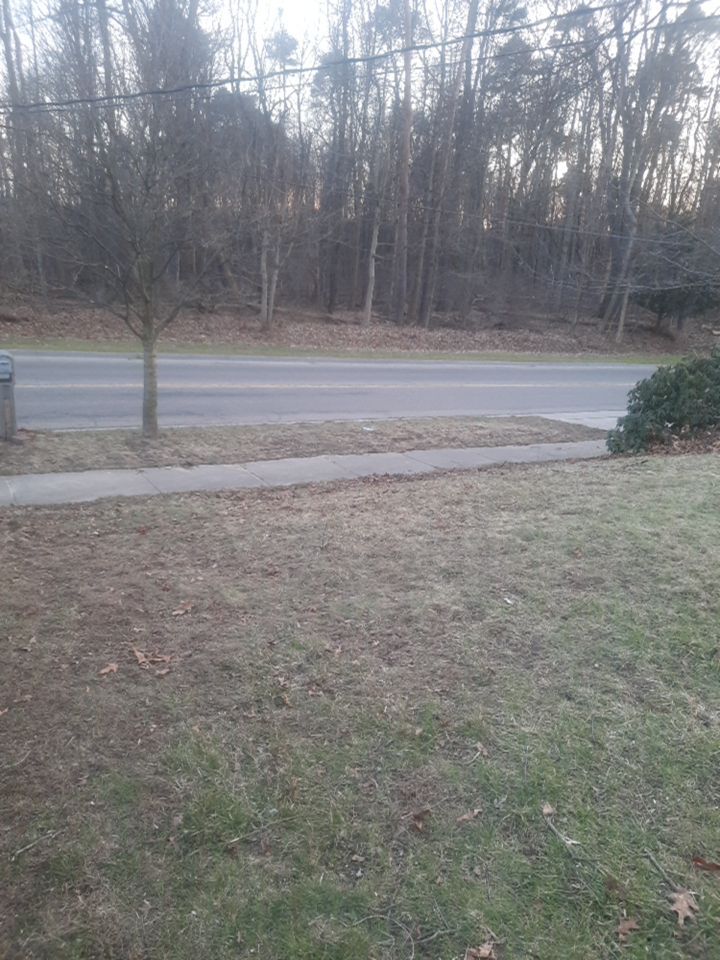 Tree Trimming using Tree Pruing by Mike Jones & Sons Tree Service LLC 