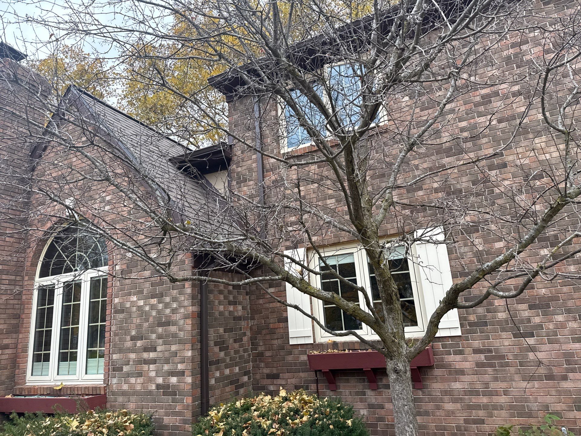 East Lansing by Sunrise Seamless