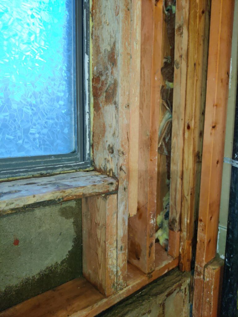 Mold Remediation in Bathroom by Accountable Home Services