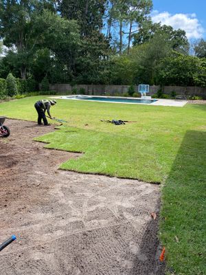Deerwood Resident | Zoysia Sod Installation