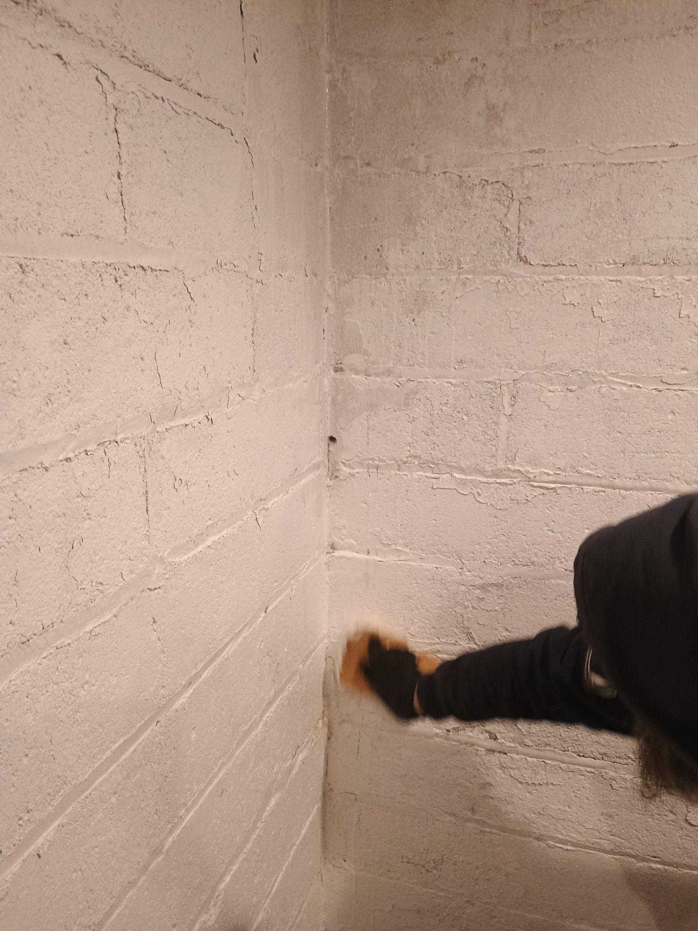 Investigating Groundwater Issues for RJ & Sally by Waterproofing Northeast