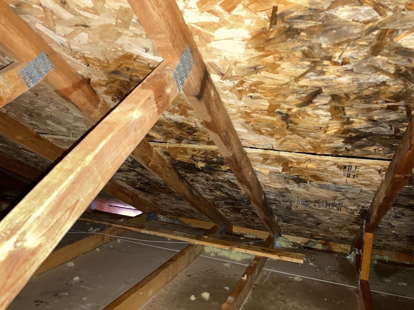 Mold Remediation Cleanup in Attic by Accountable Home Services