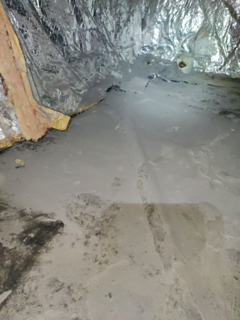 Crawl Space Cleanup  by Accountable Home Services