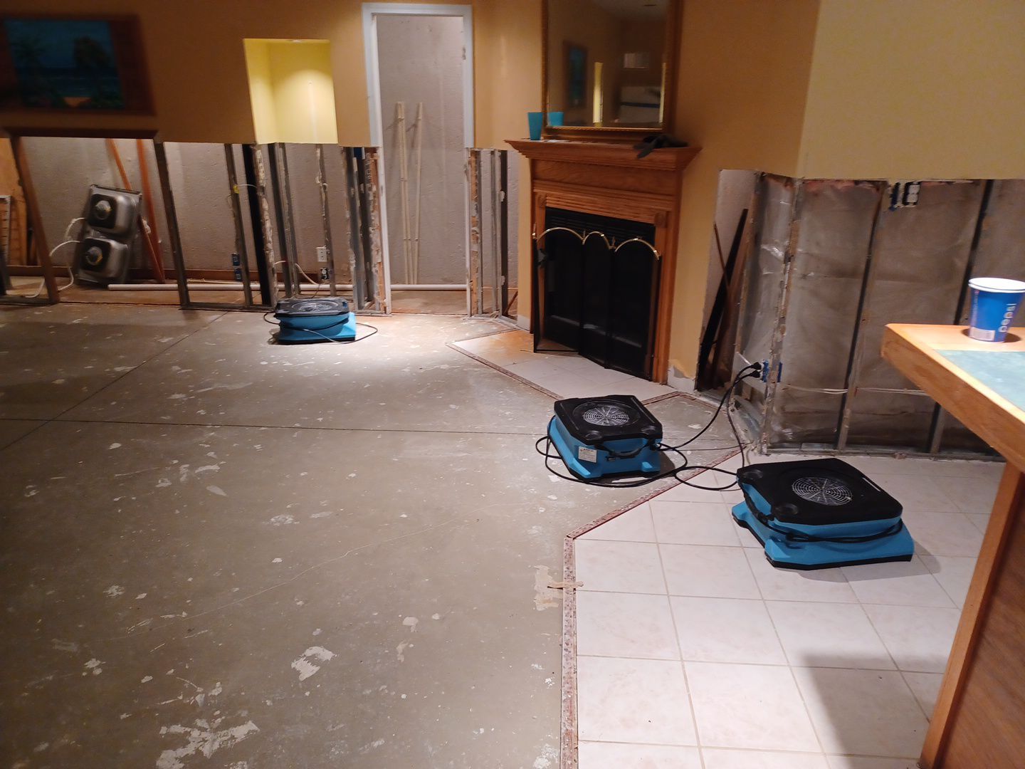 Project in Novi by EzDry Water Mitigation & Property Restoration