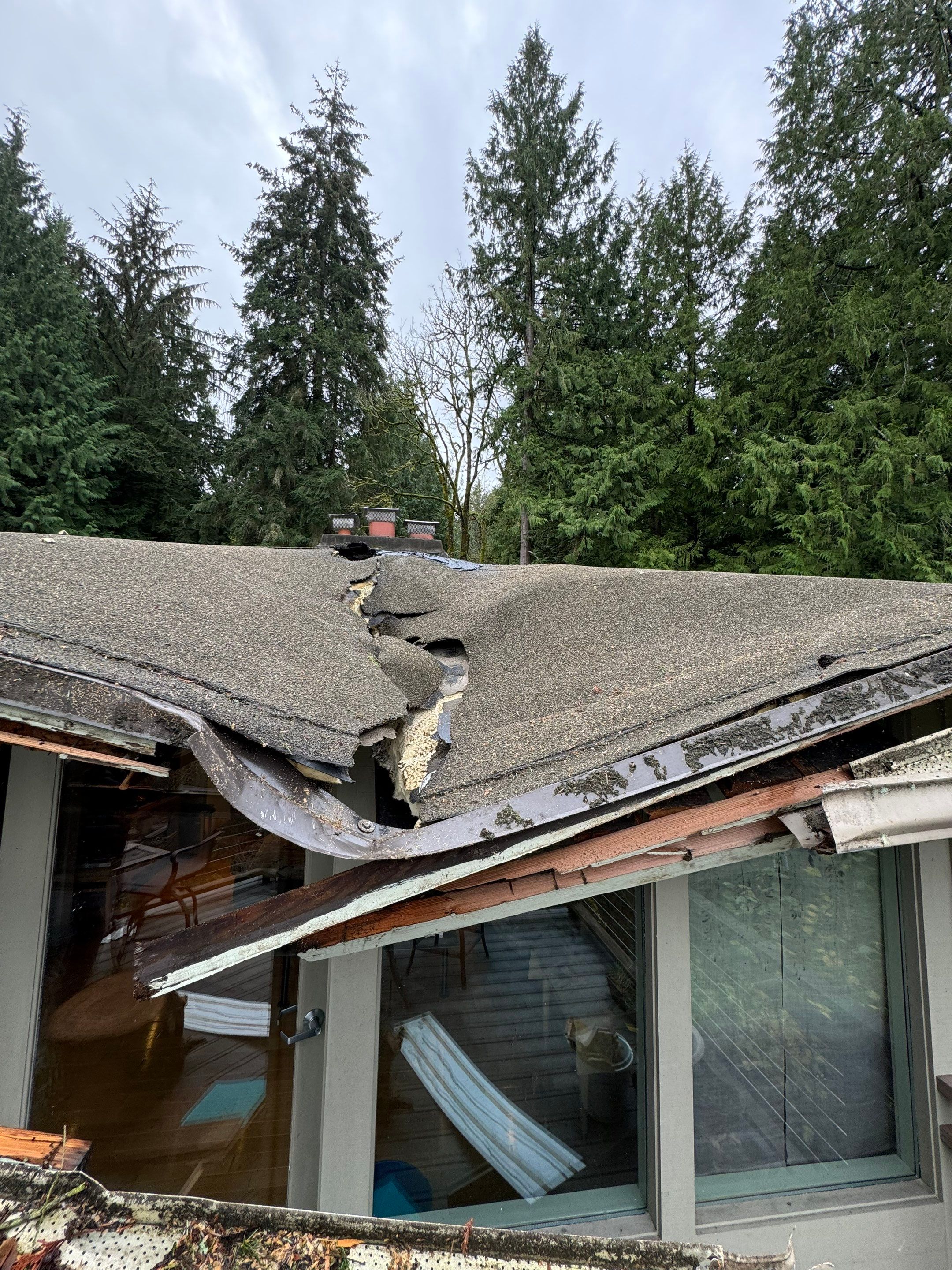 Project in Seattle by Peaks and Valleys Construction