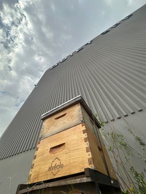 Big Rig Lot Bees