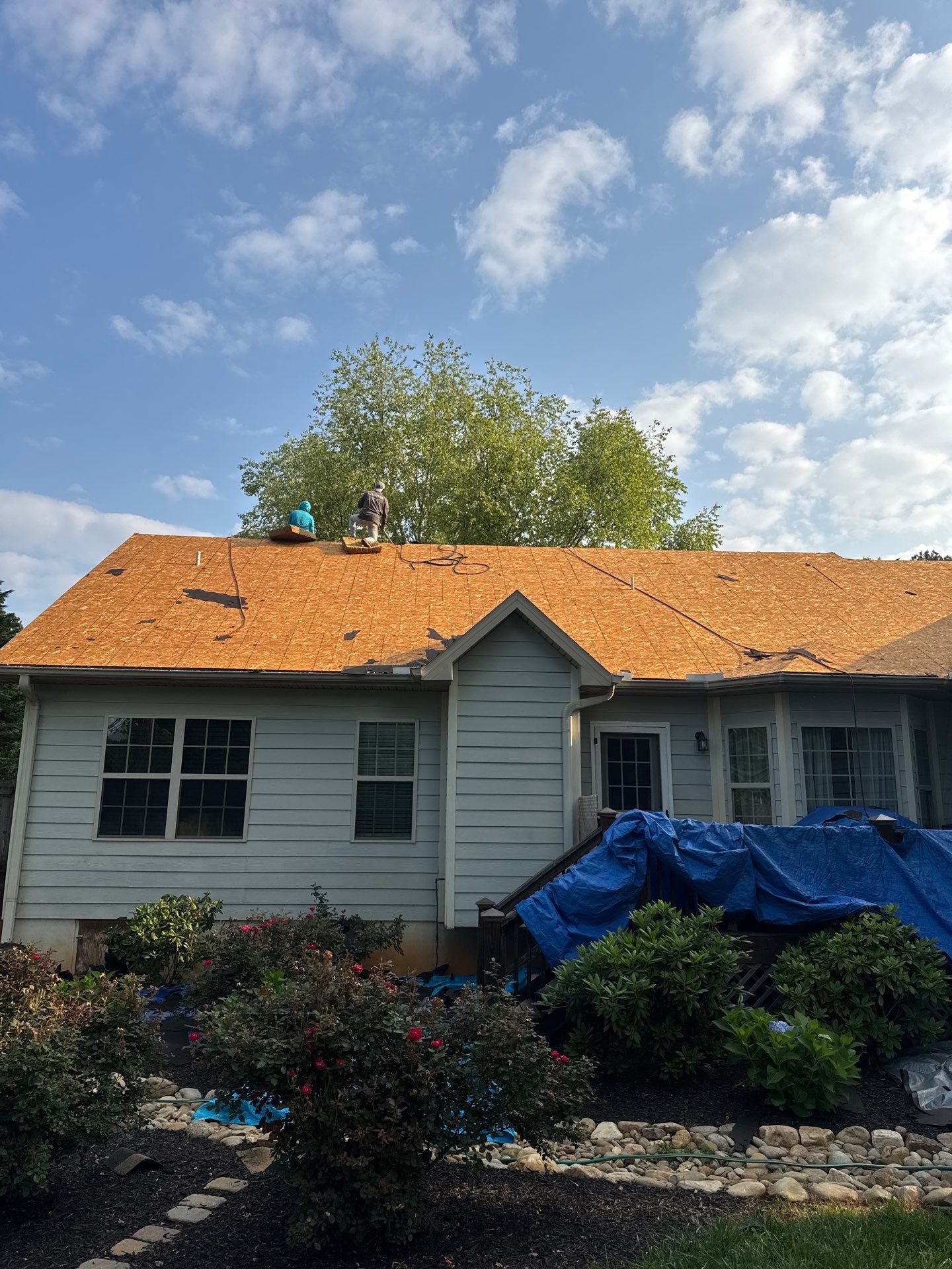 The Fredericks by United Contracting and Roofing
