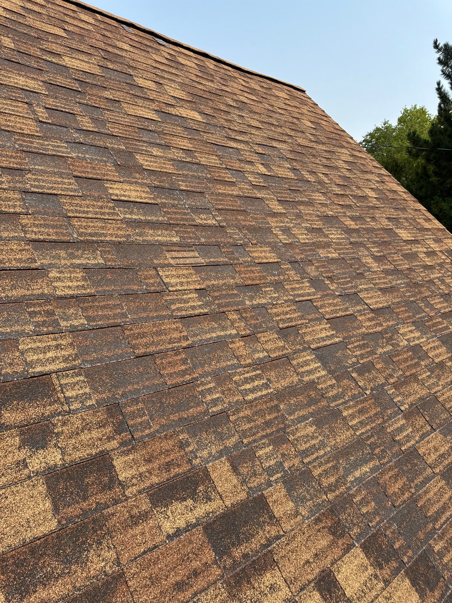Architectural Shingle Roof Replacement for Boise Log Cabin Home by Olive Roofing