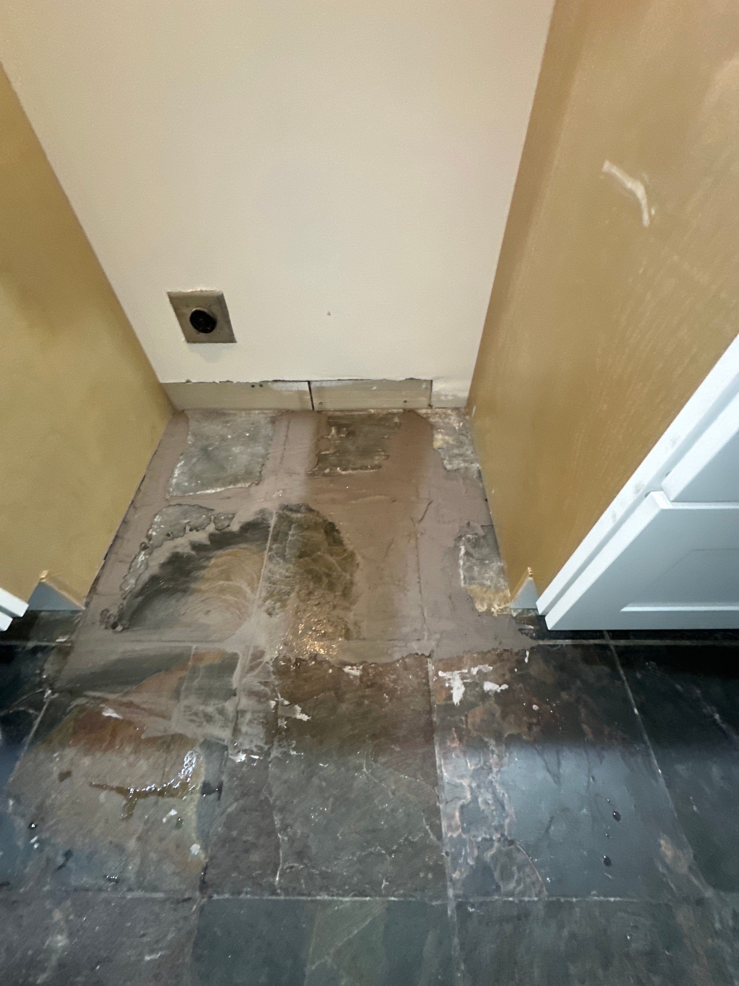 Project in Seattle by Master Restoration 