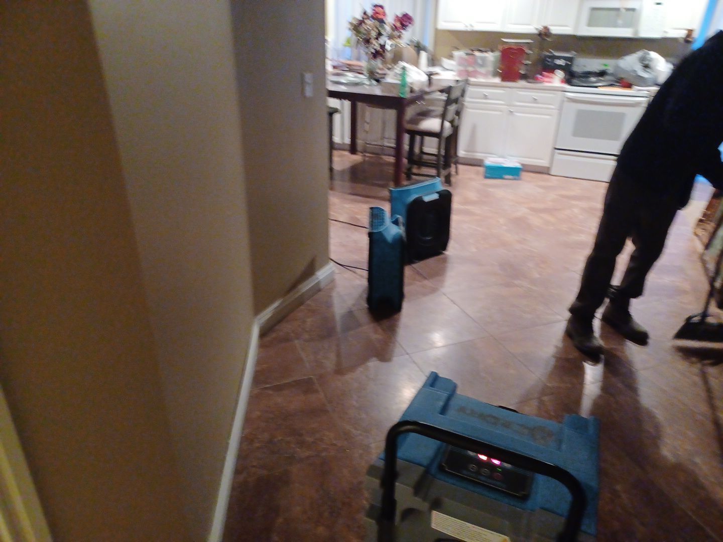 Project in West Bloomfield by EzDry Water Mitigation & Property Restoration