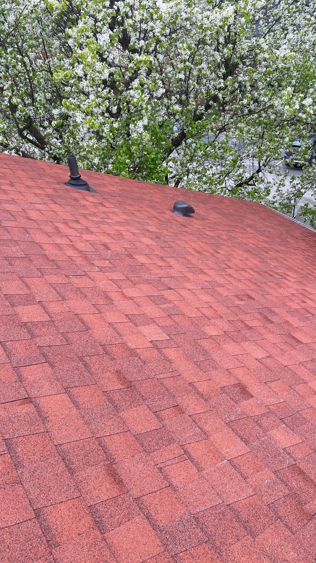 Springfield: Residential Roof Replacement with CertainTeed Landmark Pro in Max Def Red Oak by RM Banning, Inc.