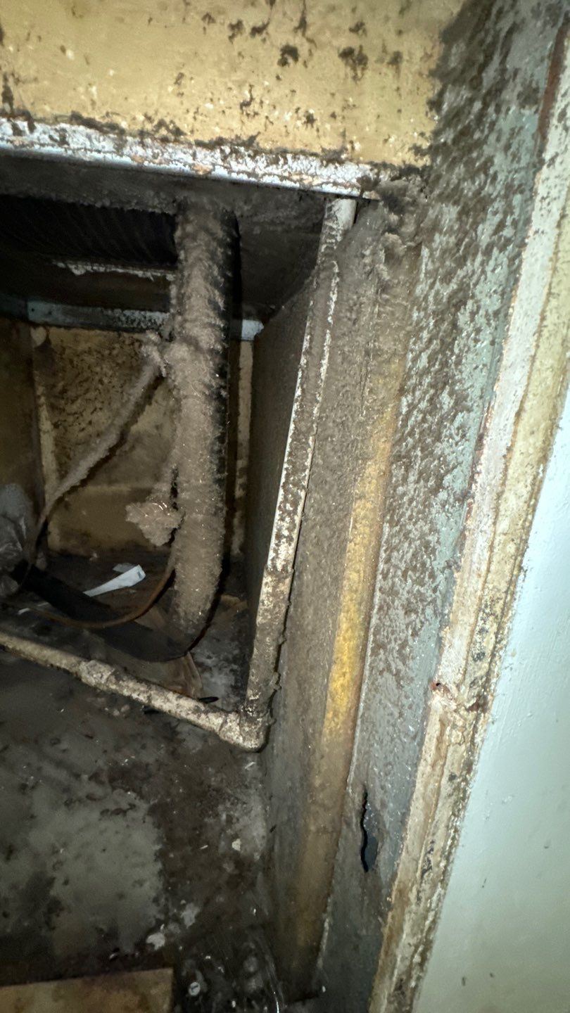 Commercial Air Duct Cleaning in Tavares by Hygienic Air, Inc