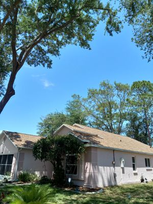 Shingle Reroof Replacement Melbourne FL