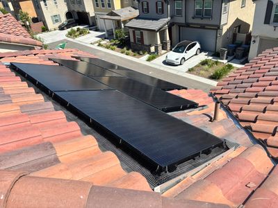 Bird Proofing