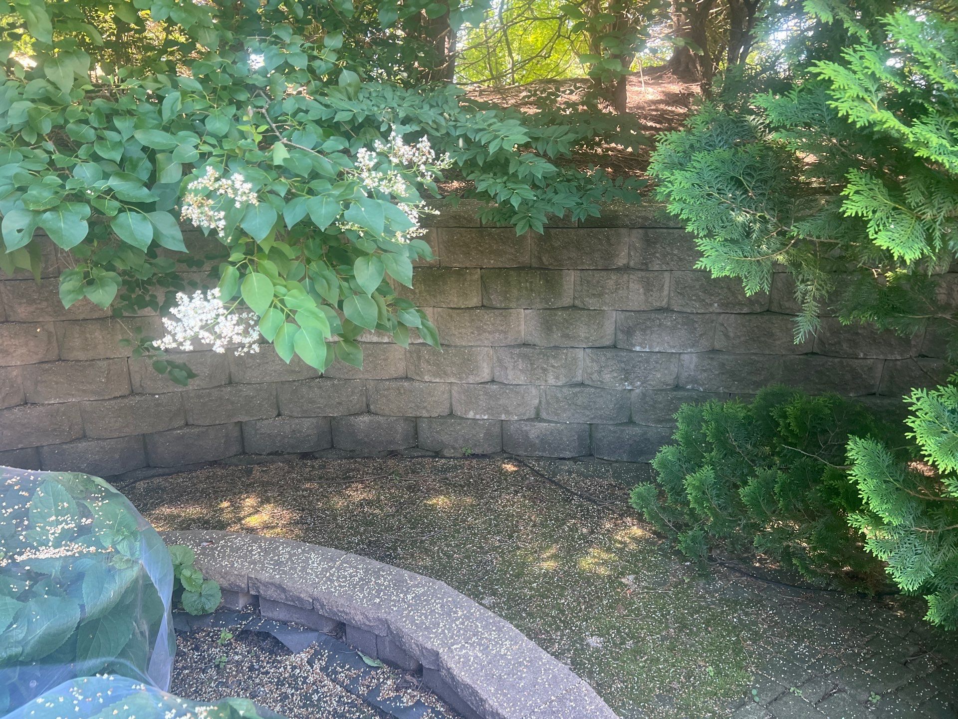concrete cleaning using Algaecide, soft wash soap by Northern Power Washing LLC.