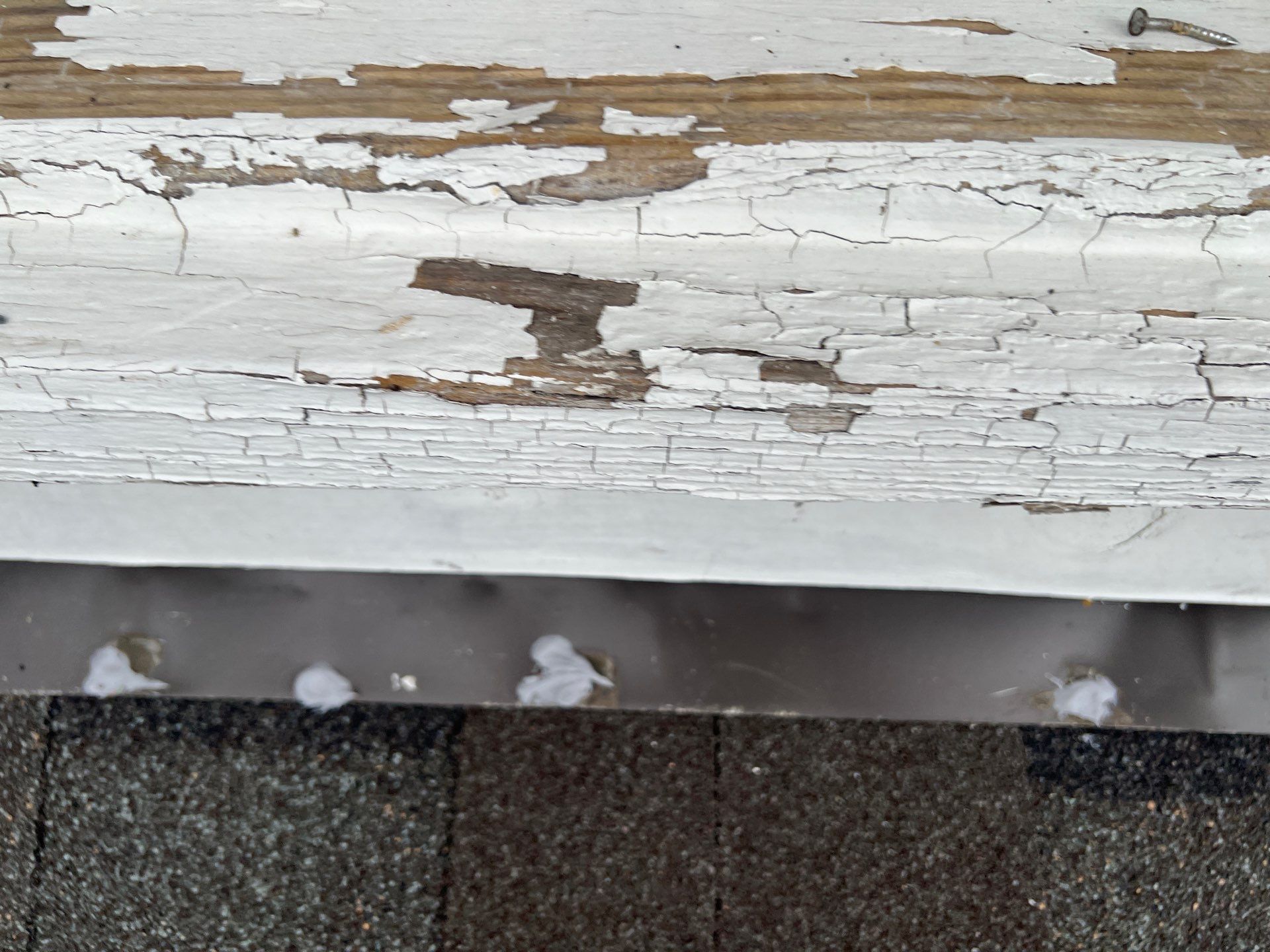 Project in Temple by Rhino Roofing and General Contracting, LLC