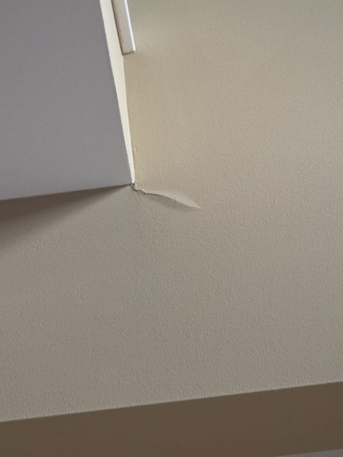 Interior Drywall Repair Painting in Commerce Township by Top Shelf Painter