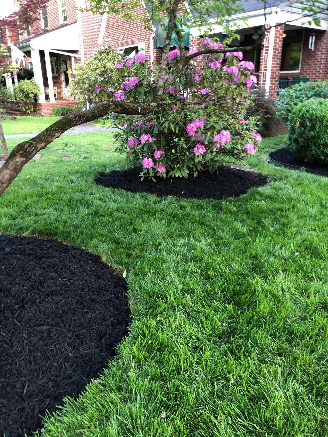 Liriope grasses, mulch and stone pavers by GrassBusters, Inc.