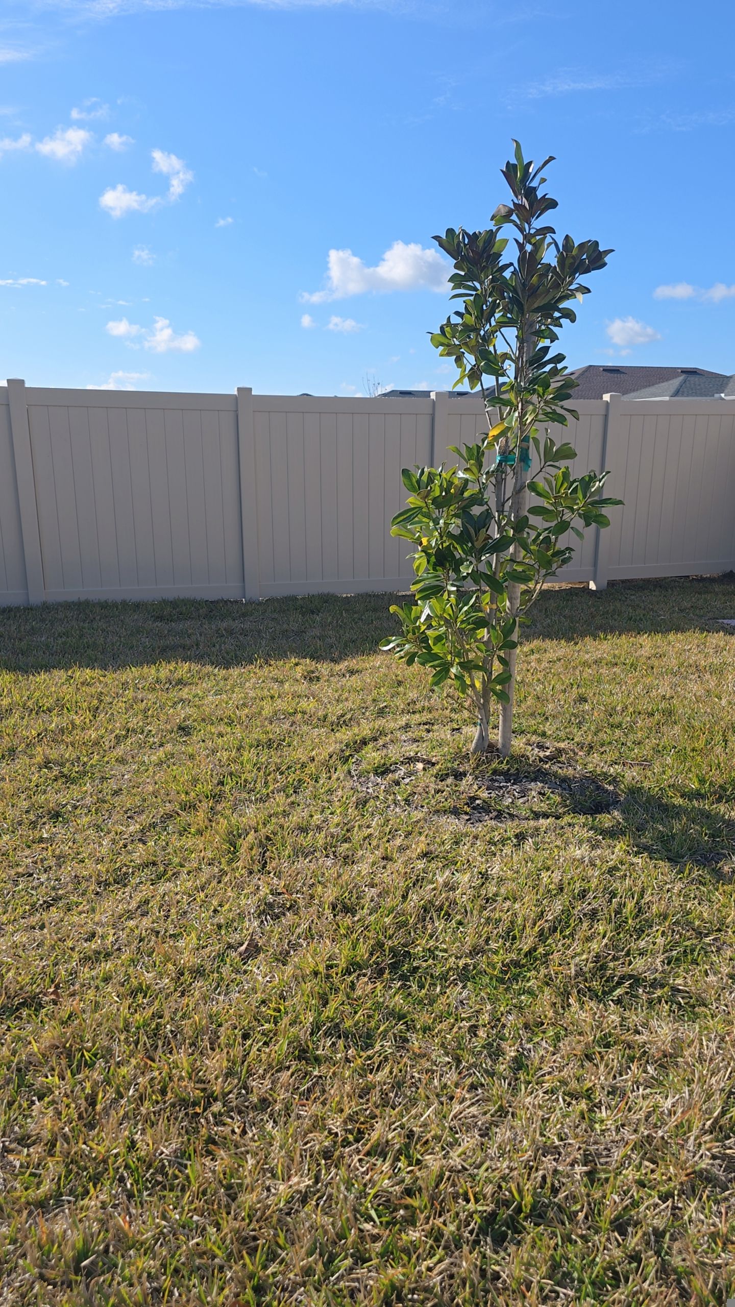 Tan Vinyl Fence in West Port by True Fence LLC