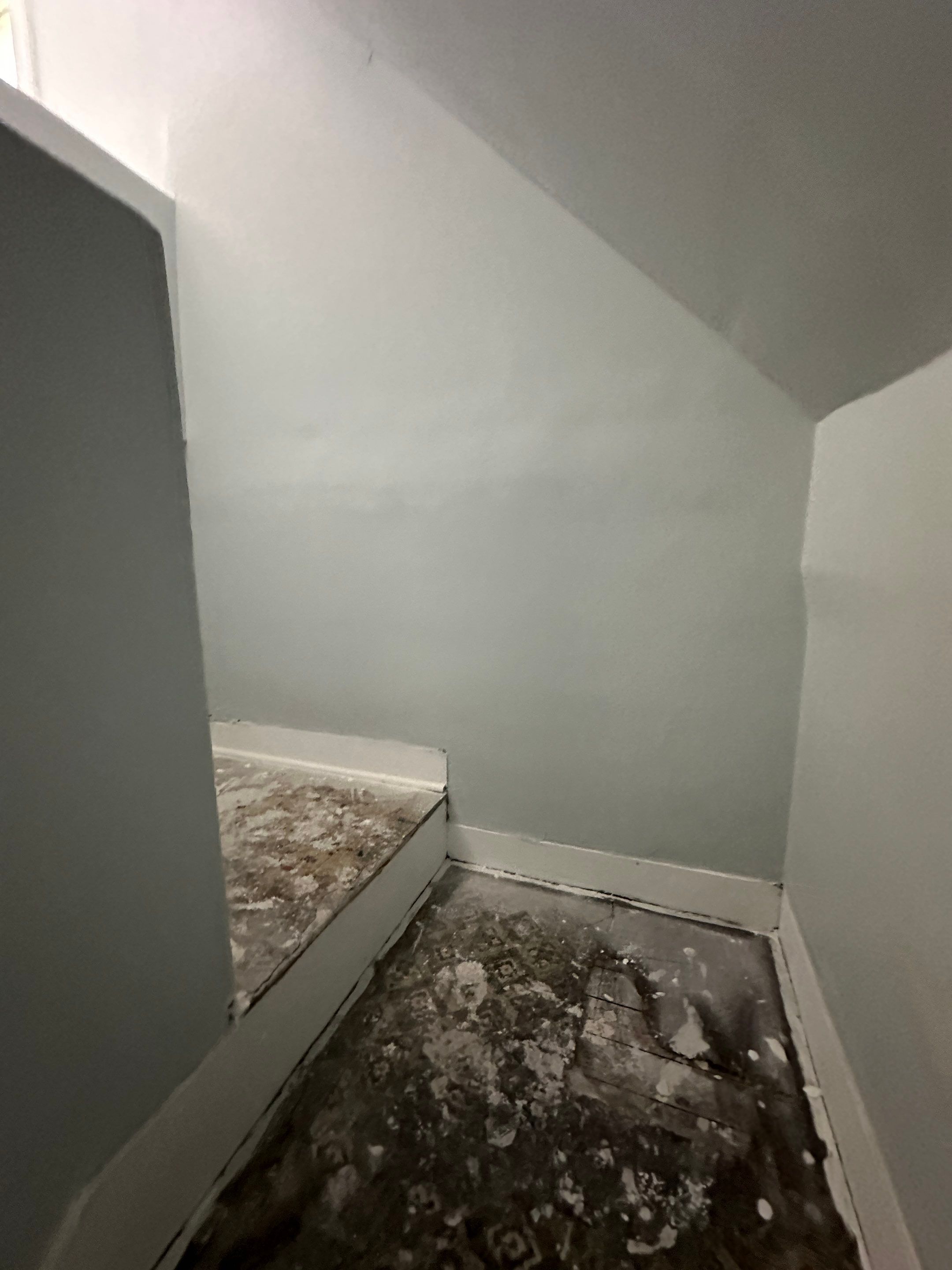 Full Project Oversight for a Full Rehab by Rei Task