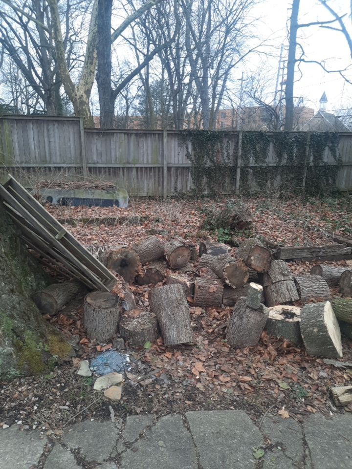 Firewood Delivery  using Seasoned Firewood by Mike Jones & Sons Tree Service LLC 