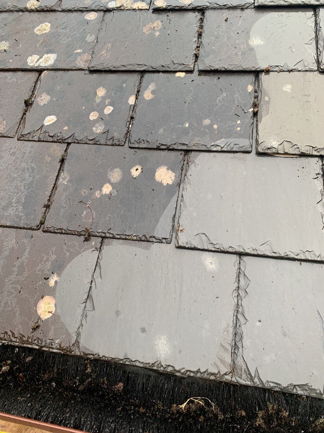 Roof Clean using Mosmatic FSC and Biocide by Ges Exterior Cleaning ltd