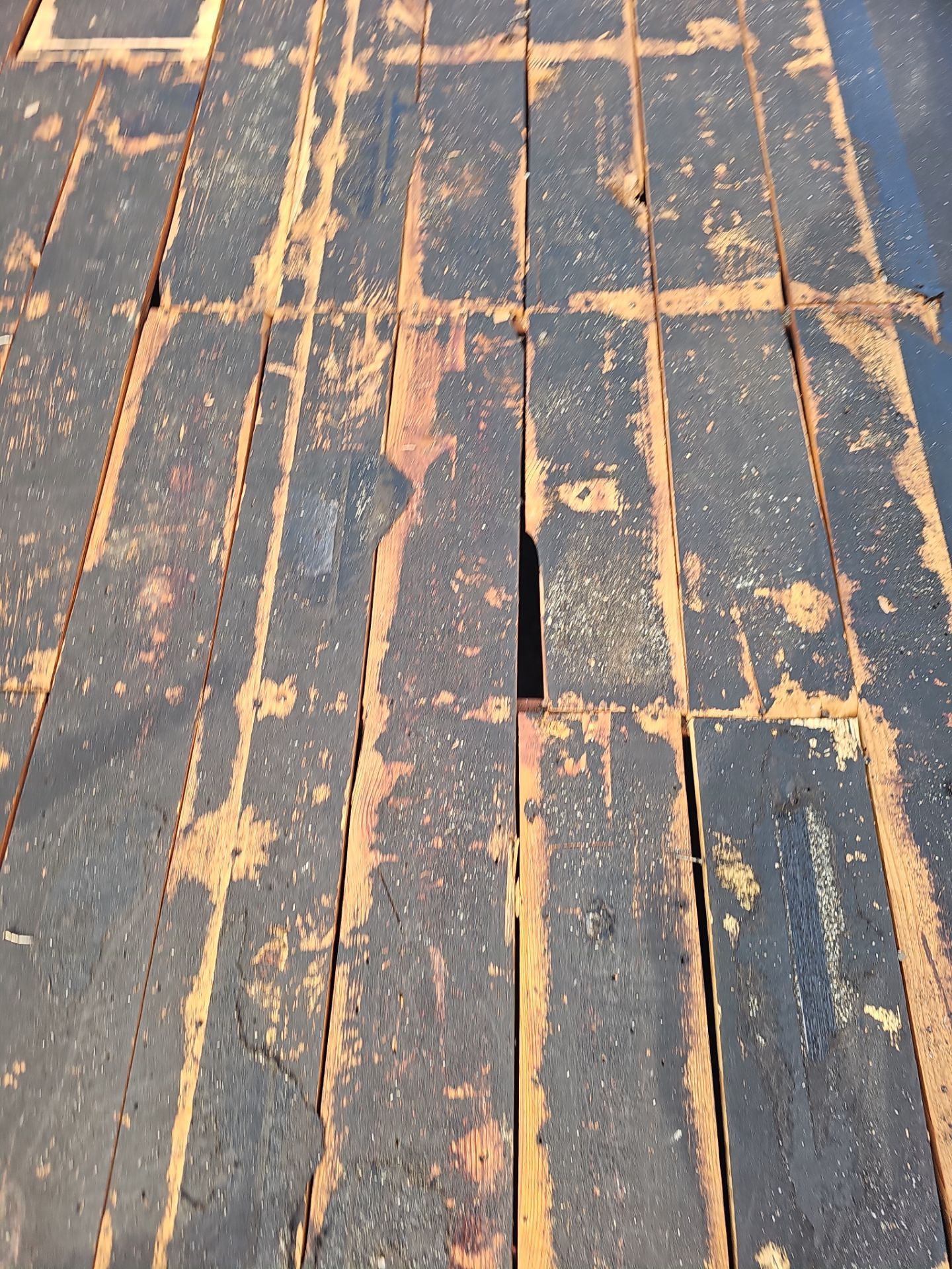 Project in Pinellas Park 33782 by Mitchell Roofing Company LLC