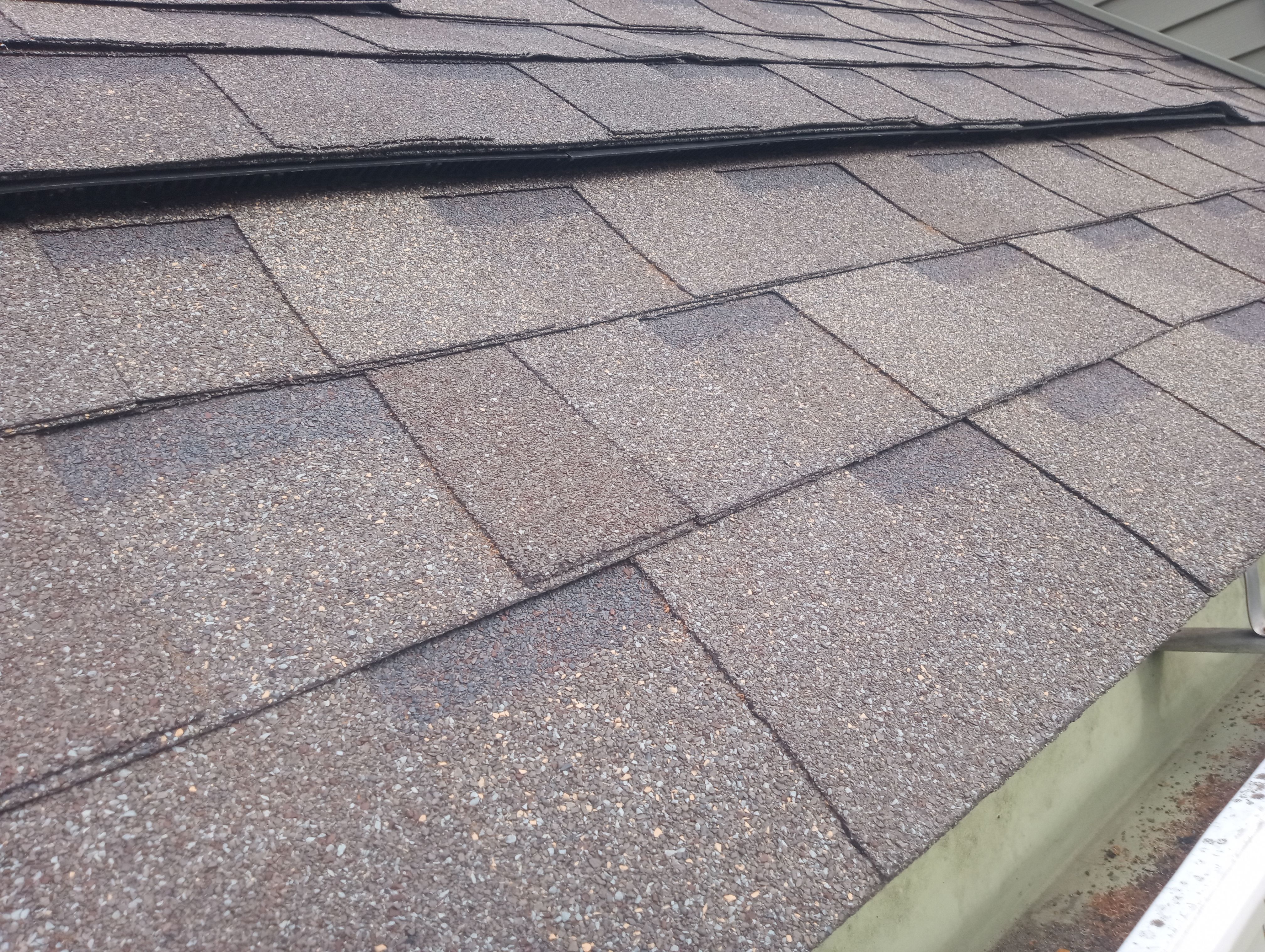 John Wildes by Silver Leaf Contracting 