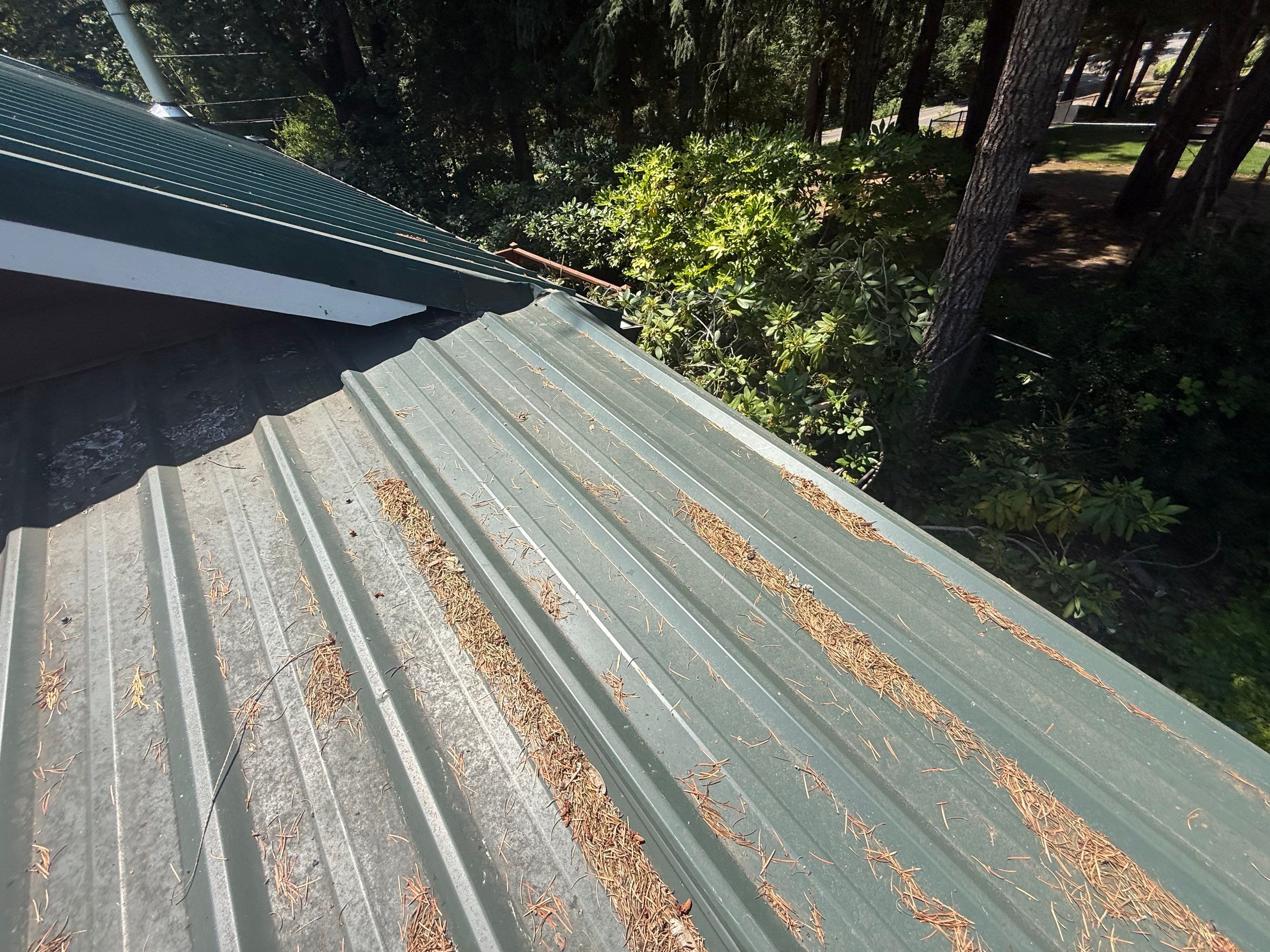 Log Cabin Metal Roof Repair and Skylight Maintenance in Springfield by BEST Roofing & Waterproofing