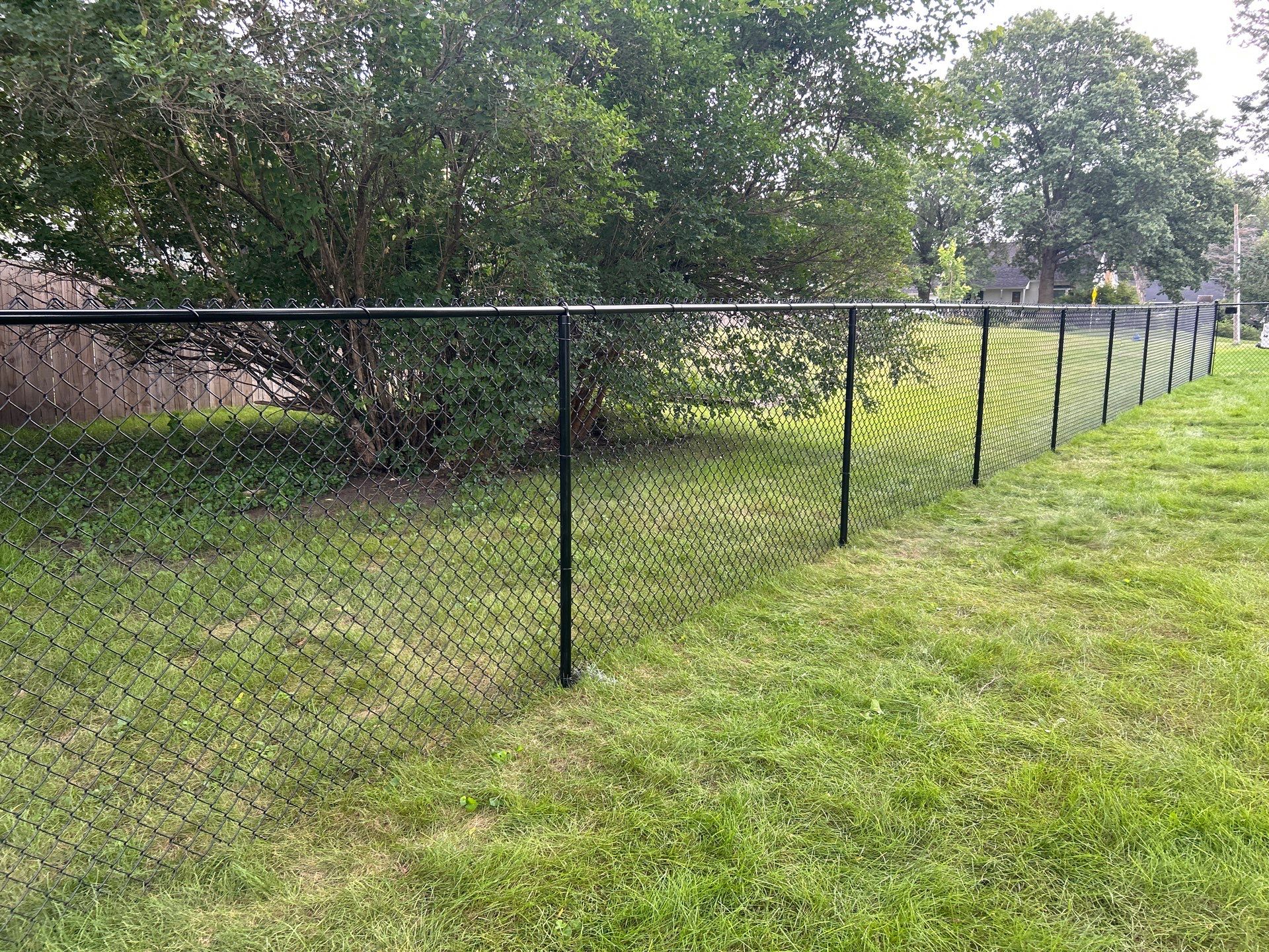 Black Vinyl Coated Chain Link Fence Installation in Waterloo by Perfect Picket Fence and Stain